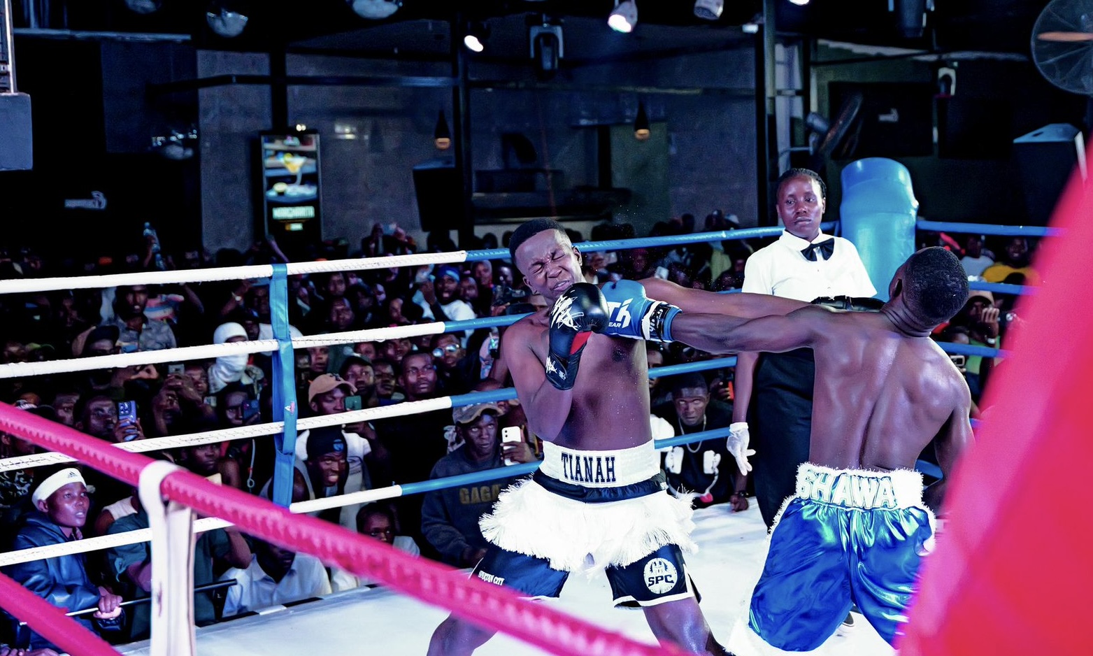 Judges Declare Shawa vs Chicken Chicken Fight a Draw.