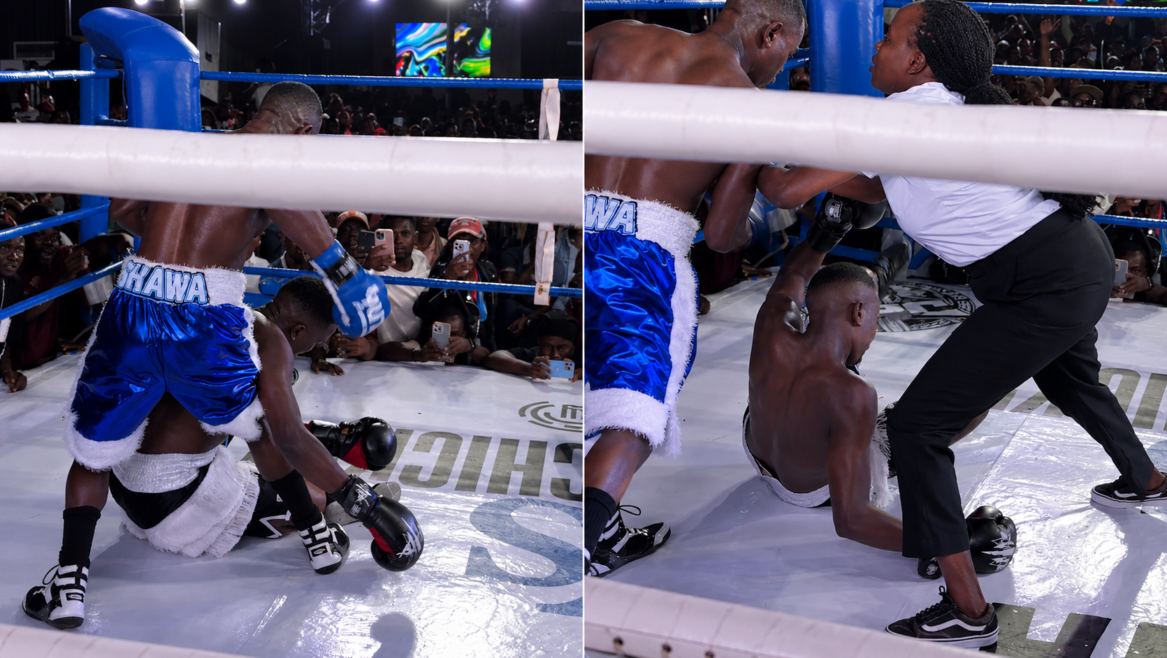 Judges Declare Shawa vs Chicken Chicken Fight a Draw.