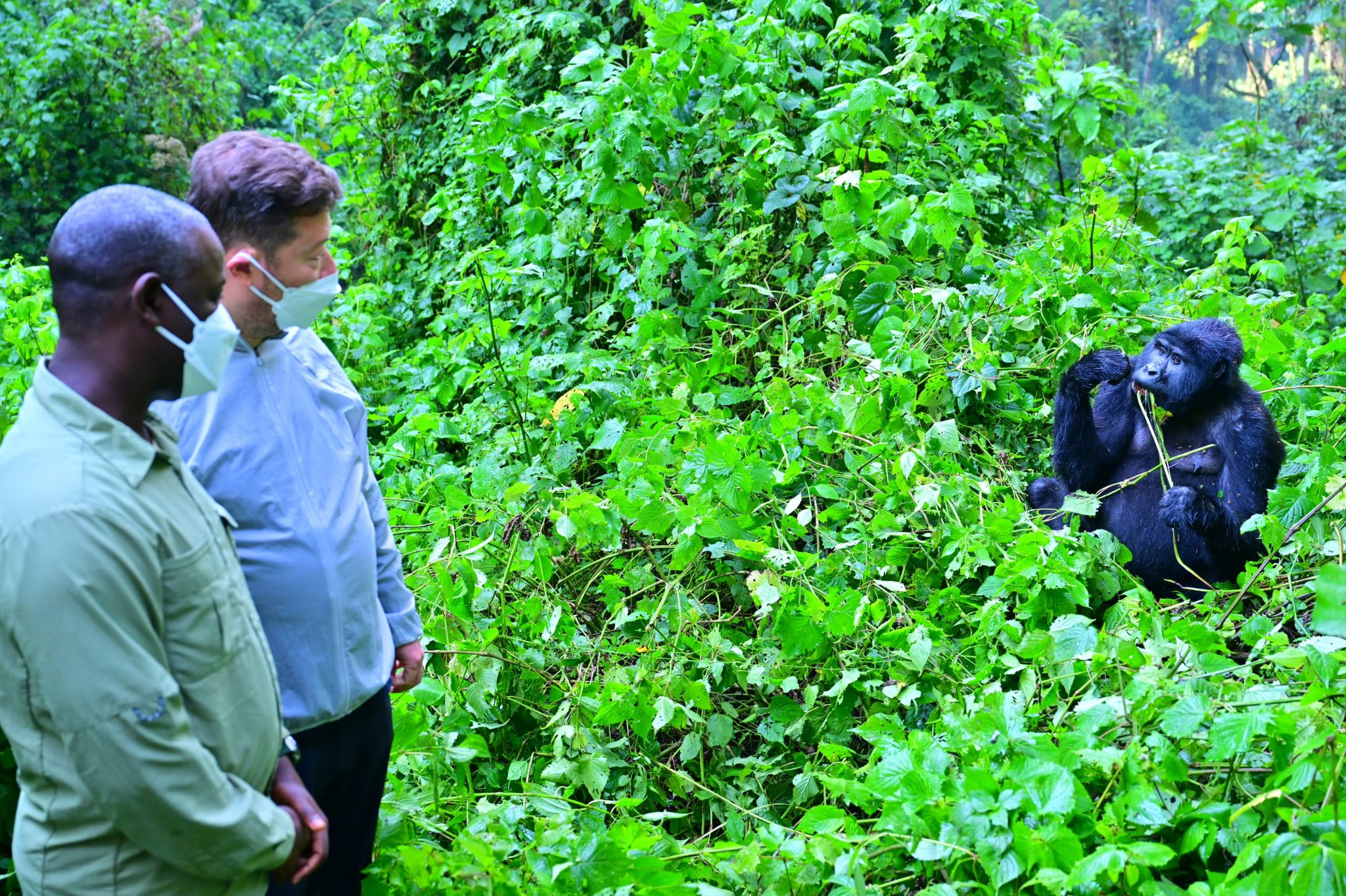 Tayebwa, Czech Speaker Okamura Trek Mountain Gorillas in Bwindi as Newborn Gorilla Gets Special Name.